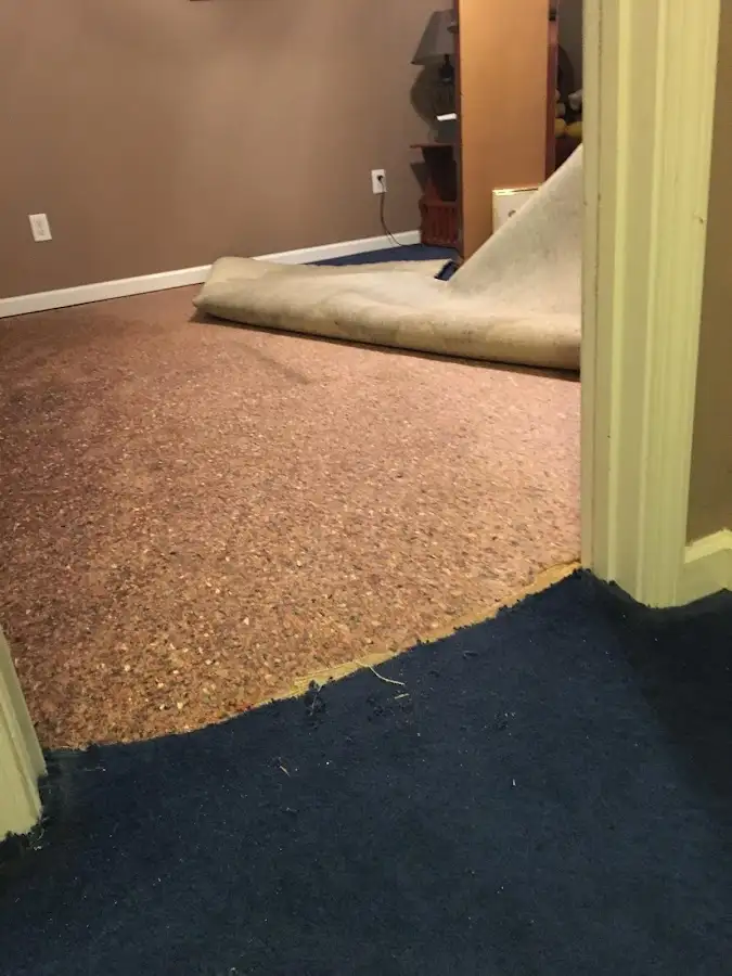 Carpet pad removal revealing water damage during Drying & Dehumidification in Milpitas